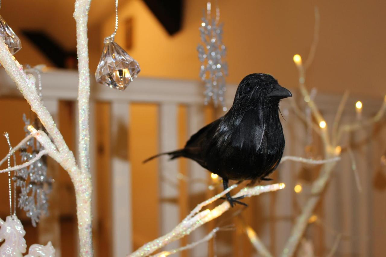 Raven Haven